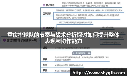 重庆排球队的节奏与战术分析探讨如何提升整体表现与协作能力